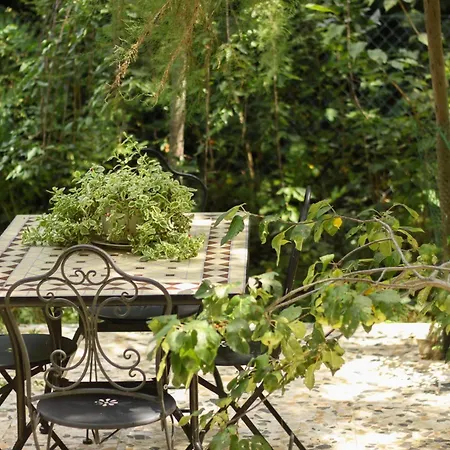 Le Magnolie -